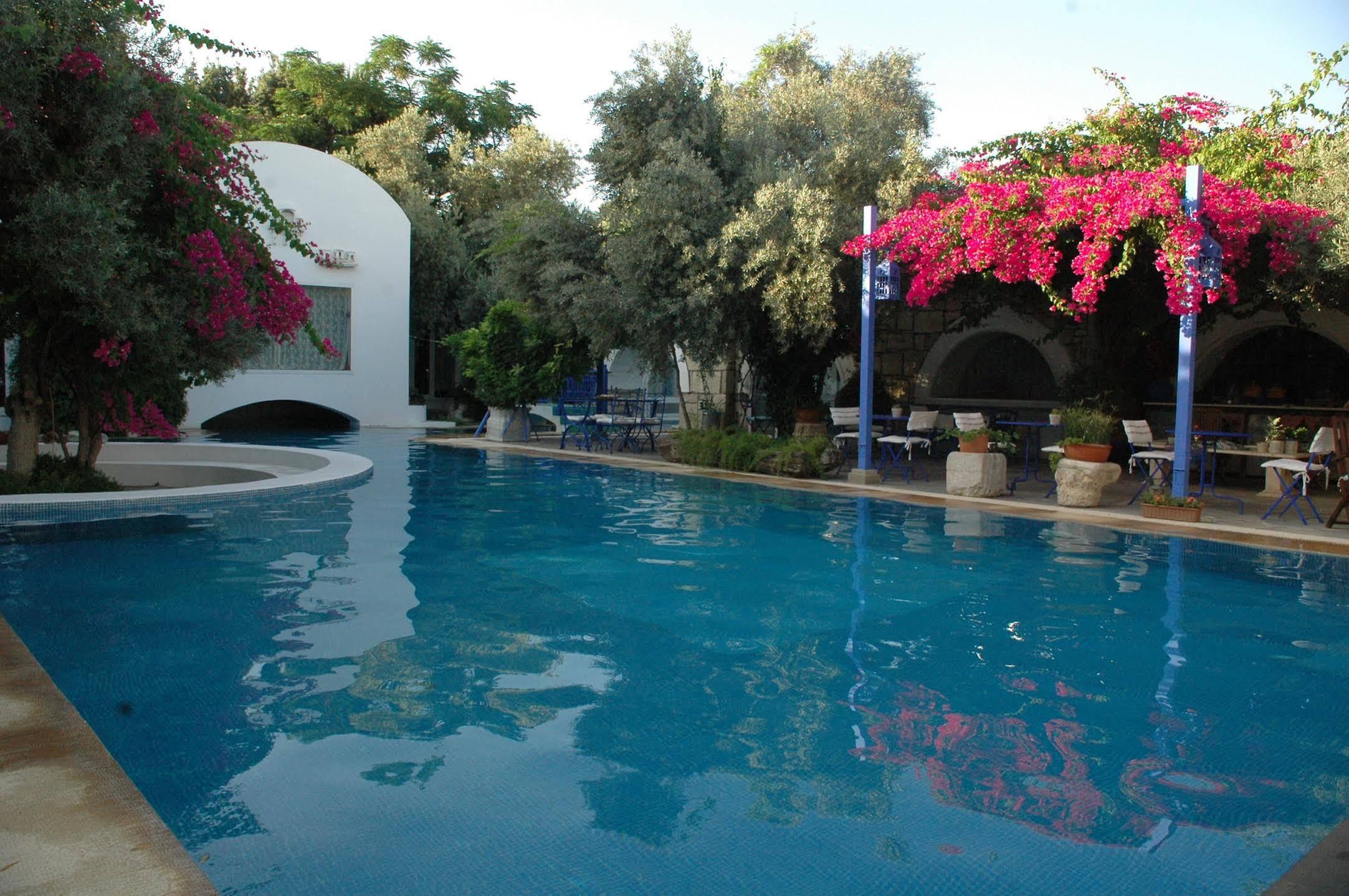 Villa Oliva Butik Hotel Konacik Kültér fotó